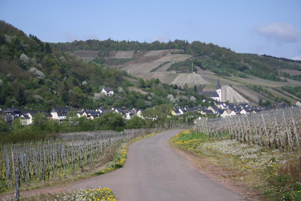 Hotel Weingut Goeres Briedel Esterno foto